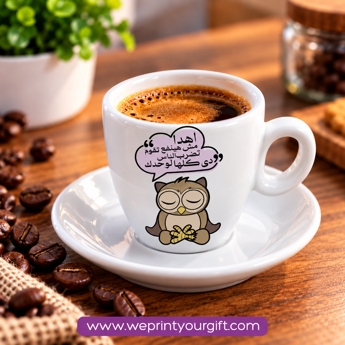 Cute Owl Ceramic Espresso Cups with Saucers – Adorable & Funny Owl Designs