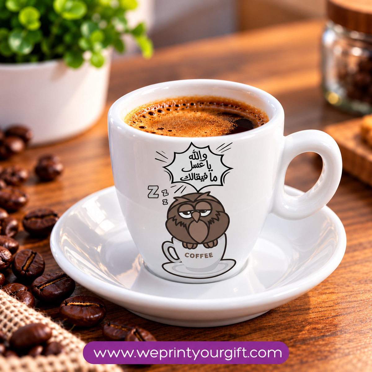 Cute Owl Ceramic Espresso Cups with Saucers – Adorable & Funny Owl Designs