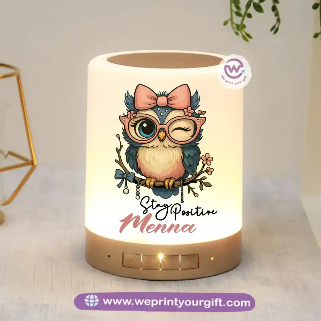 Portable Speaker and Lamp- Owl