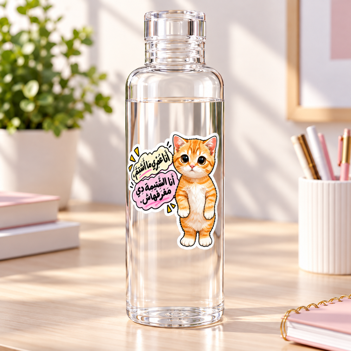 Naughty Cat -Clear Acrylic Water Bottles