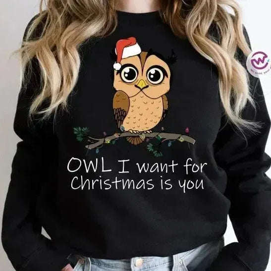Adult Hoodies - Christmas -Owl - WE PRINT