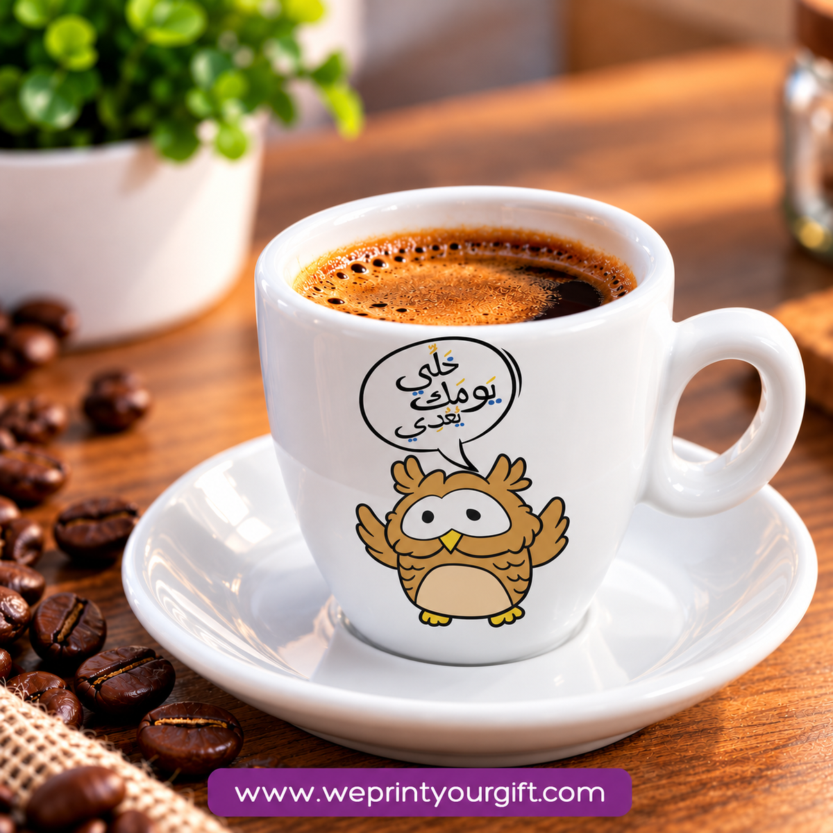 Cute Owl Ceramic Espresso Cups with Saucers – Adorable & Funny Owl Designs